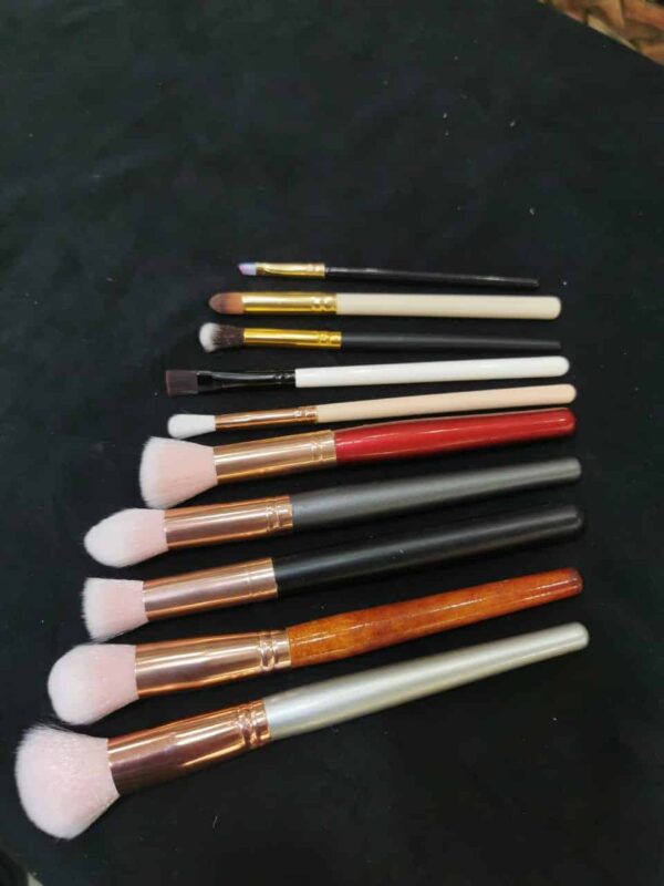 Makeup Imported 10 Psc Brush Set
